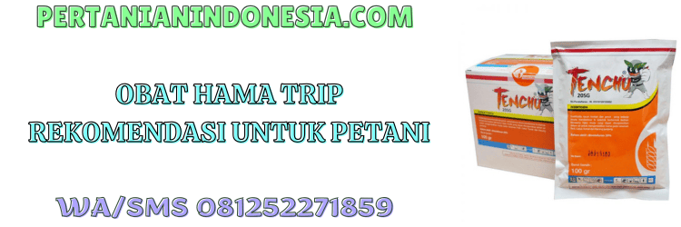 obat,pestisida,insektisida,pestisida jenis insektisida,pertanian indonesia